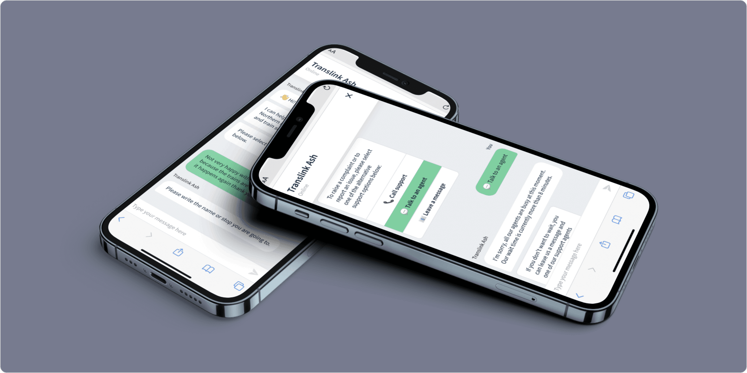 Accessible Transport Chatbot